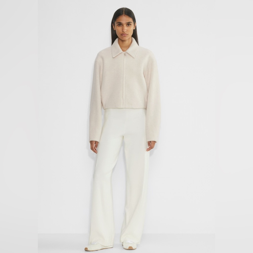 Aritzia high wiasted pants